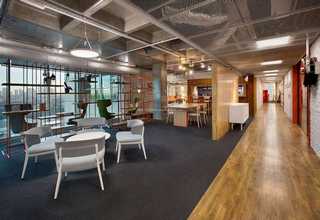 徐州一年生的苗