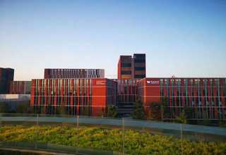 天津涡轮明杆硬密封闸阀